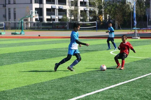 拜仁官方数据图总结2024：凯恩进球助攻双榜首